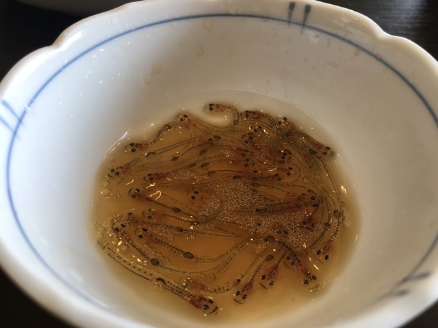 Nihonryouritoriichi 福岡市西區 早良區 懷石 會席料理 食べログ 繁體中文 Nihonryouritoriichi 福岡市西區 早良區 懷石 會席料理 食べログ 繁體中文