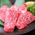 上等牛肋排肉