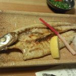 酒徒庵 - 灰干しのカマス