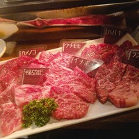 NO MEAT, NO LIFE.2nd - 