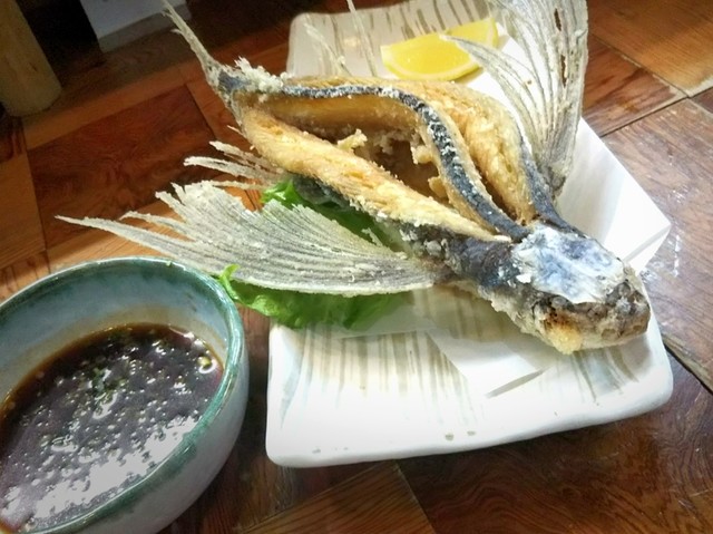 漁火 イサリビ 屋久島町その他 魚介料理 海鮮料理 食べログ