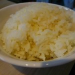 めだかタンタン - ２０１９年３月再訪問