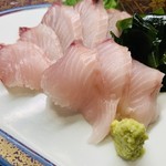 錦江湾 - 鰆の刺身。
