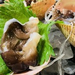 錦江湾 - 生トリ貝。