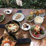 Farm to Table TERRA - 