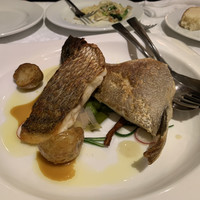 アマルフィイ・モデルナ - 