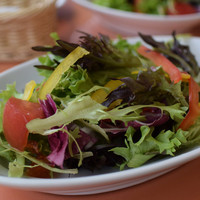 トラットリア グランボッカ - 彩華やかな野菜たち