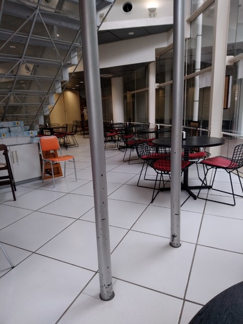 Soleil Sansan photo 4