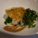 レフェルヴェソンス - 