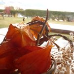 喫茶室 独鈷 - 