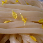 讃岐うどん 白庵 - 麺UP