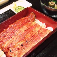 うなぎ 目白ぞろ芽 - 