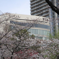 東天紅 上野店 - 