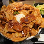 焼肉ホルモン・牛テール料理　あにき - マジでっか丼大盛りアップ
