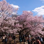 花園万頭 カフェ＆ショップ - 