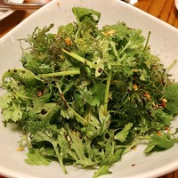 ブラチェリア バーヴァ - 