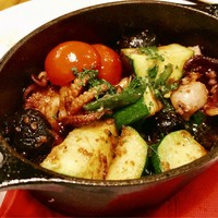 ブラチェリア バーヴァ - 