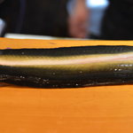 岡山産天然青うなぎ