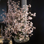 Dining＆Bar LAVAROCK - 