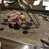料亭 長坂 - 