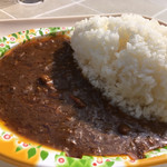 渓流広場レストラン - 薬膳カレー大盛