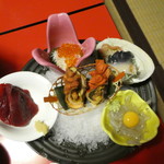 クジラや白魚の刺身は今だけ””