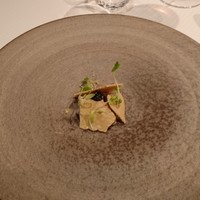 ジョンティ アッシュ - 