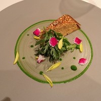 ジョンティ アッシュ - 