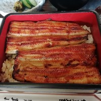 駒形前川 浅草本店 -  駒形前川 浅草本店 -