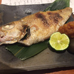 割旬 葉隠 - のどぐろ塩焼き