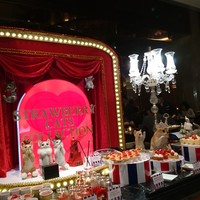 ロビーラウンジ 「マーブルラウンジ」 ヒルトン東京 - 