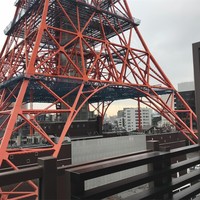 ワカヌイ グリル ダイニング バー 東京 - 