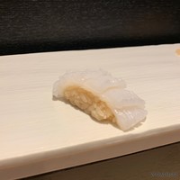 すし人　酒伊 - アオリイカ