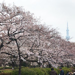 モンブラン 吾妻橋店 - 