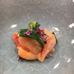 津の守坂 小柴 - 赤貝