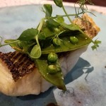 日本料理 TOBIUME - ⑦海味～"宗さんの鱸"
      鱸(橿原産)の炭火焼き、スナップエンドウとそのスプラウト(若松産)、菜種油(遠賀産)を掛けて
      鱸の産卵期は秋～晩冬、旬は夏～秋
      皮はパリッと身はふっくらジャストな火加減