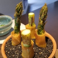 日本料理 TOBIUME - ②開演～"収穫"
                      グリーンアスパラガス(福岡県若松産)の春巻き揚げ
                      アスパラの盛り付けが和食にしては奇抜で、モダンフレンチぽいですね。
                      瑞々しさと甘みがあります。