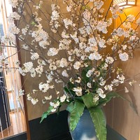 松阪牛 よし田 - 