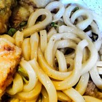 手作りうどん 天粉盛 - 