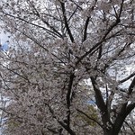 極楽うどん TKU - 