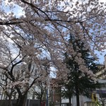 極楽うどん TKU - 