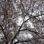 極楽うどん TKU - 