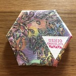 USHIO CHOCOLATL - ベトナム  40g