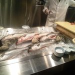 ぶどうの丘 セノバ - お魚展示