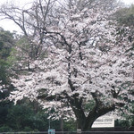 BIKiNi SIS - March 23, 2019 @1pm