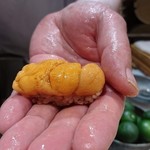 五反田鮨 SUSHI TOKYO 81 - 