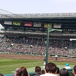 阪神甲子園球場 - 場内雰囲気。