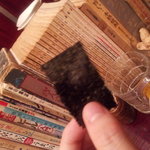 ロックフィッシュ - 海苔アップ～♪