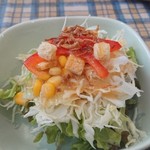 パスタの店　山猫軒 - サラダ