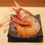 五反田鮨 SUSHI TOKYO 81 - 